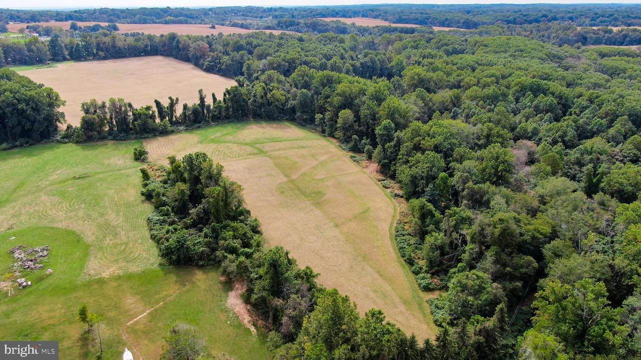 319 Cooley Mill Rd - Photo 1