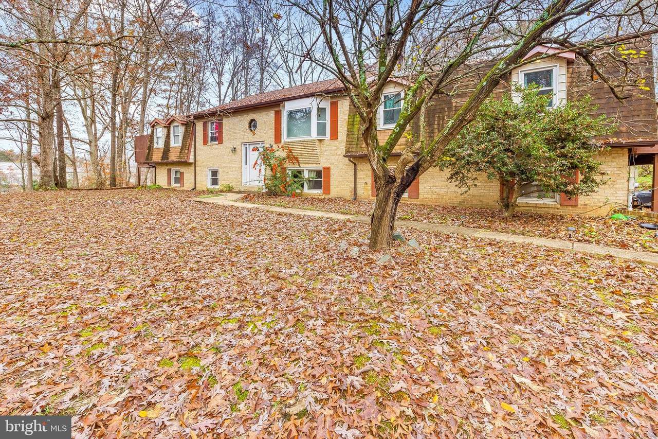 4665 Olga Place - Photo 1