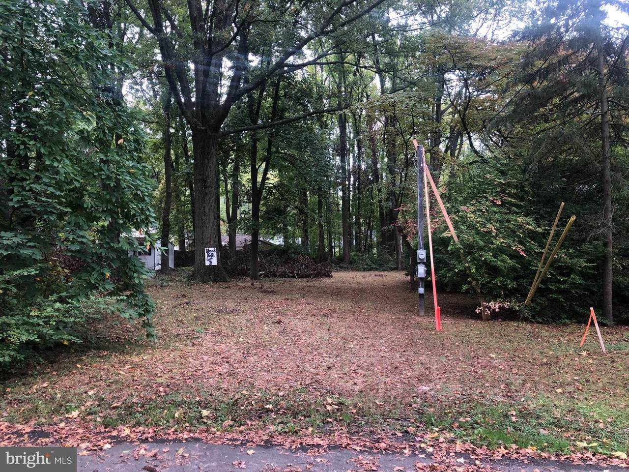 1125 Evelyn Drive - Photo 1