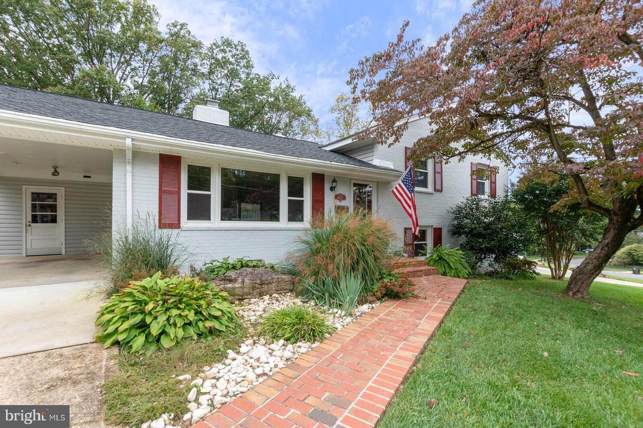7923 Jansen Drive - Photo 1