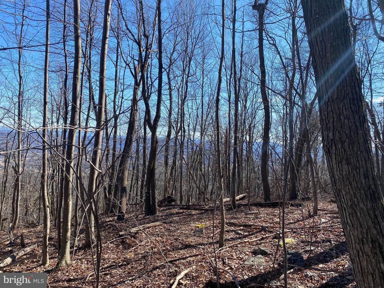 Back Road - Photo 1