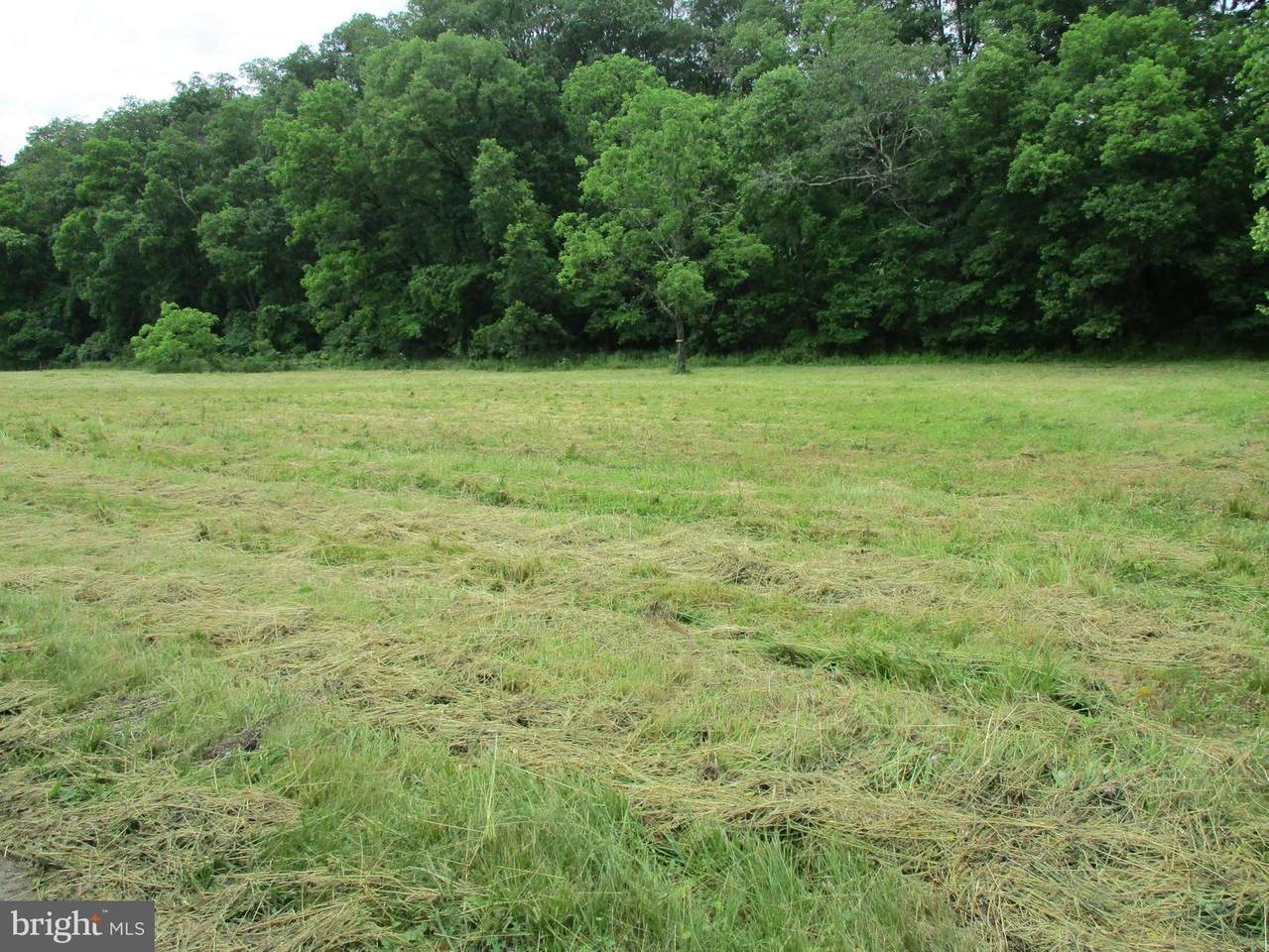 Lot 13 Puffenburger - Photo 1