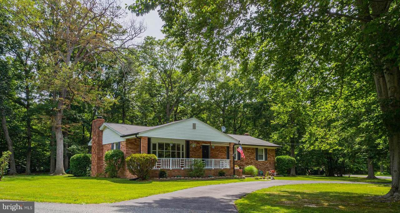 9163 Cedar Street - Photo 1