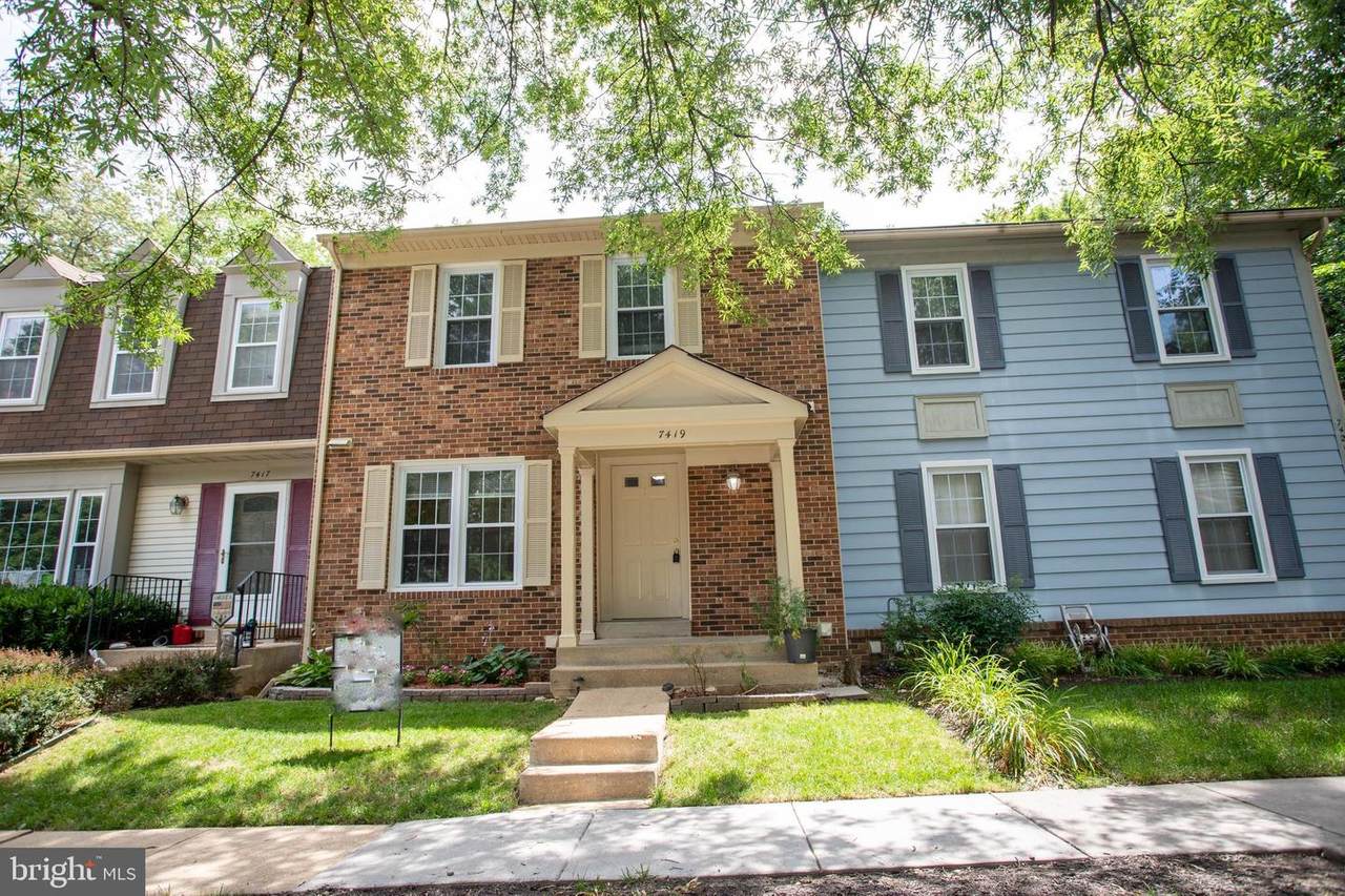 7419 Spring Tree Drive - Photo 1