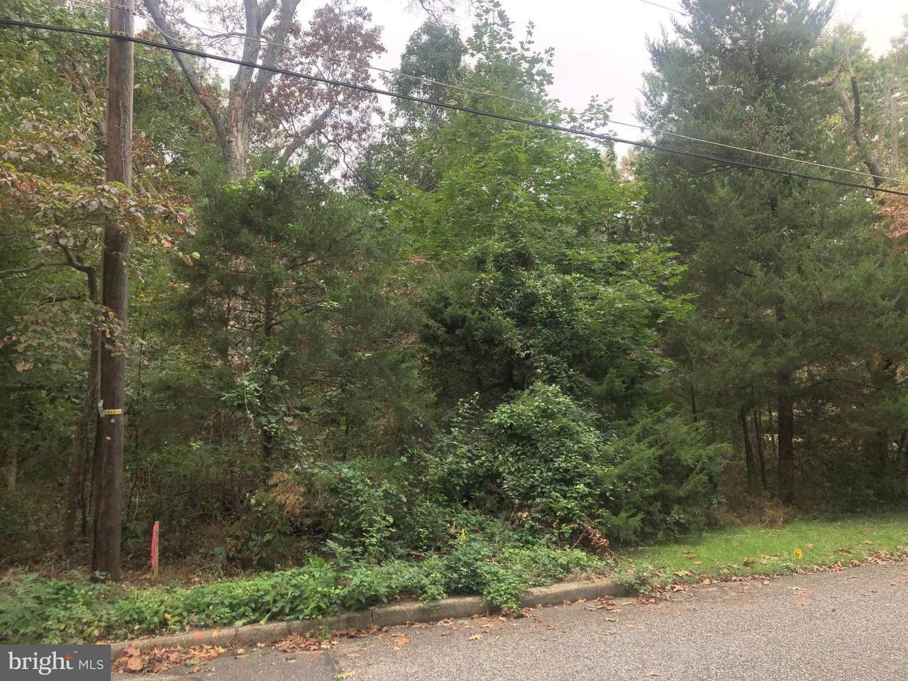 402 Rosemont Avenue - Photo 1