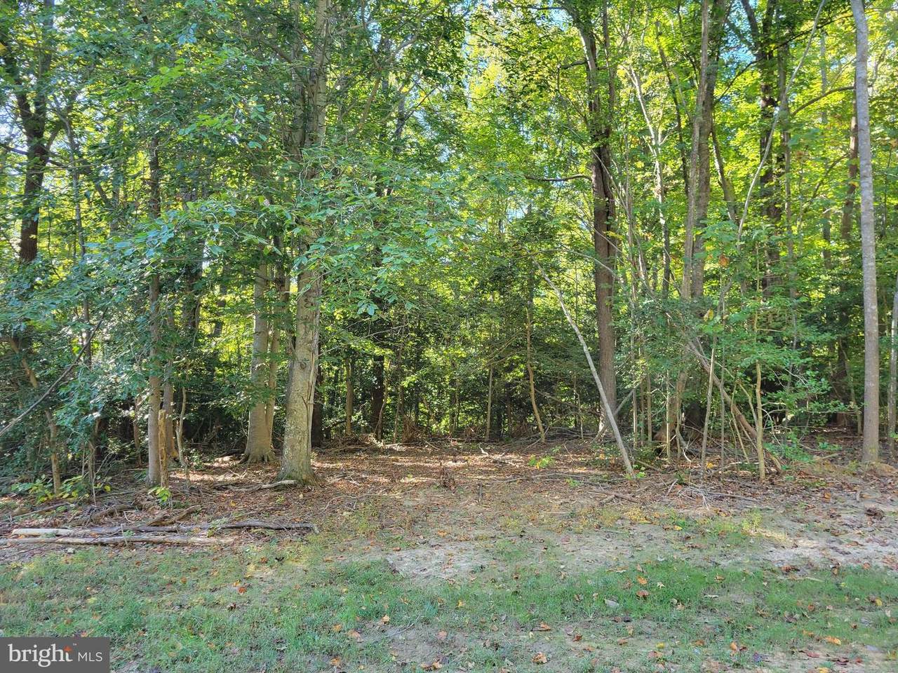 Nomini Lot 45 Court - Photo 1