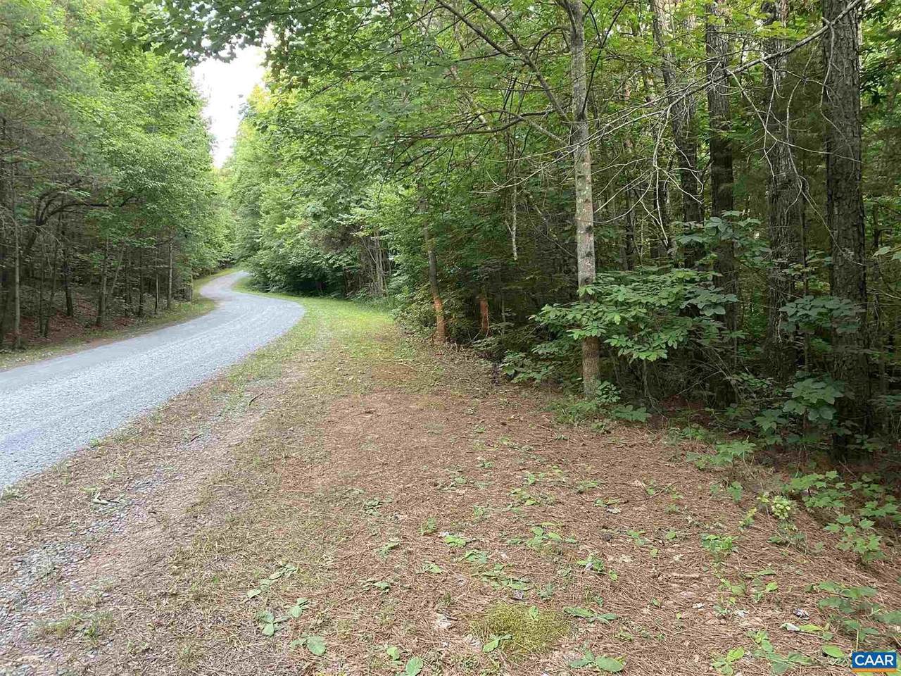 999 Slate River Trl Trail - Photo 1