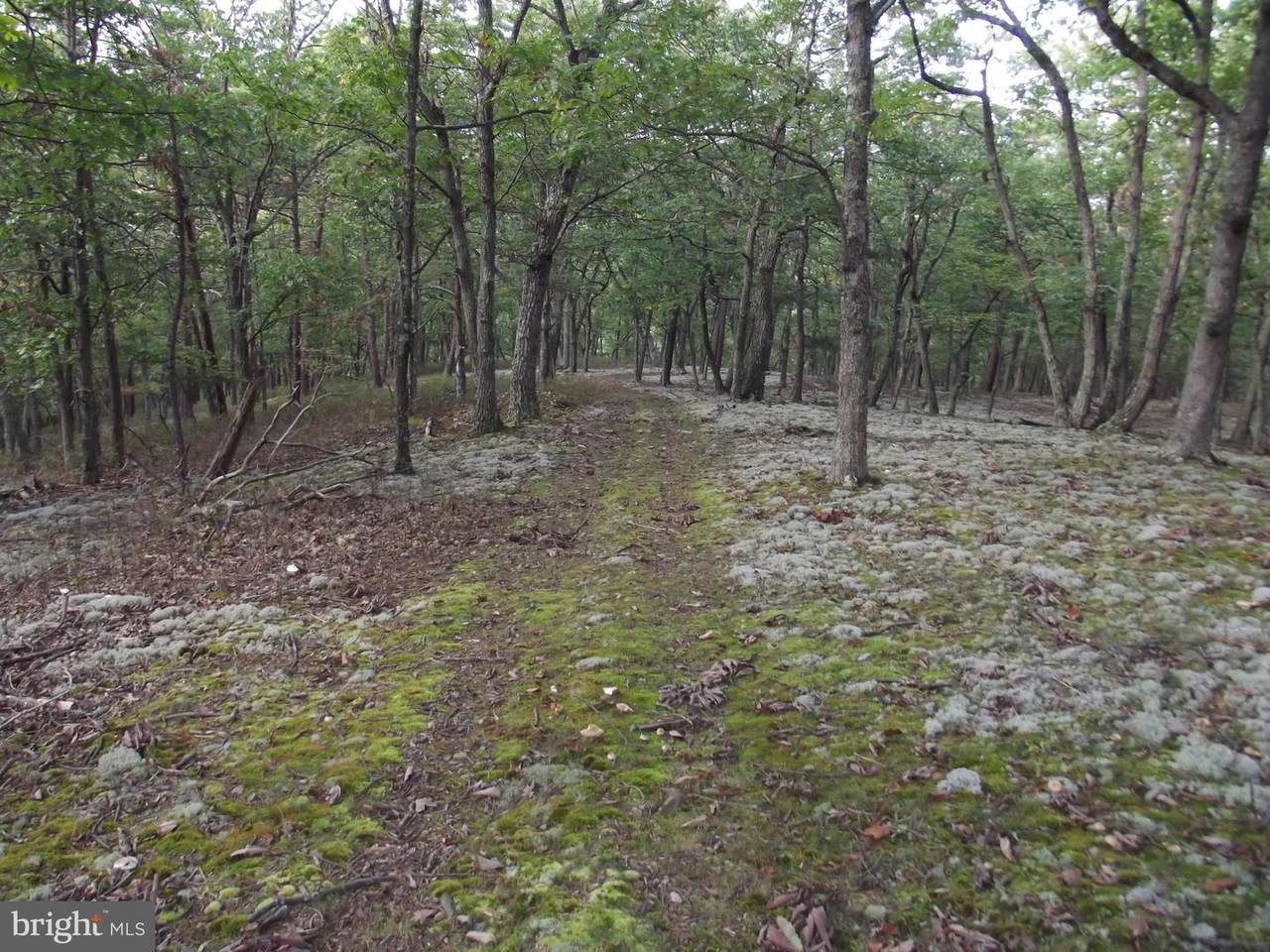 Lot 69 Whitetail Ridge - Photo 1