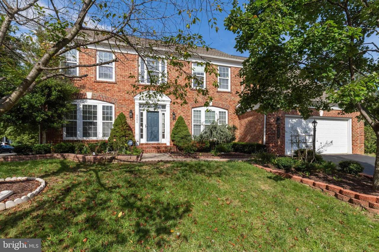 8264 Native Violet Drive - Photo 1