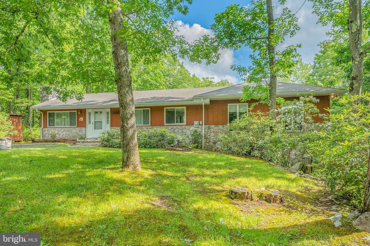 393 Fox Tail Road - Photo 1