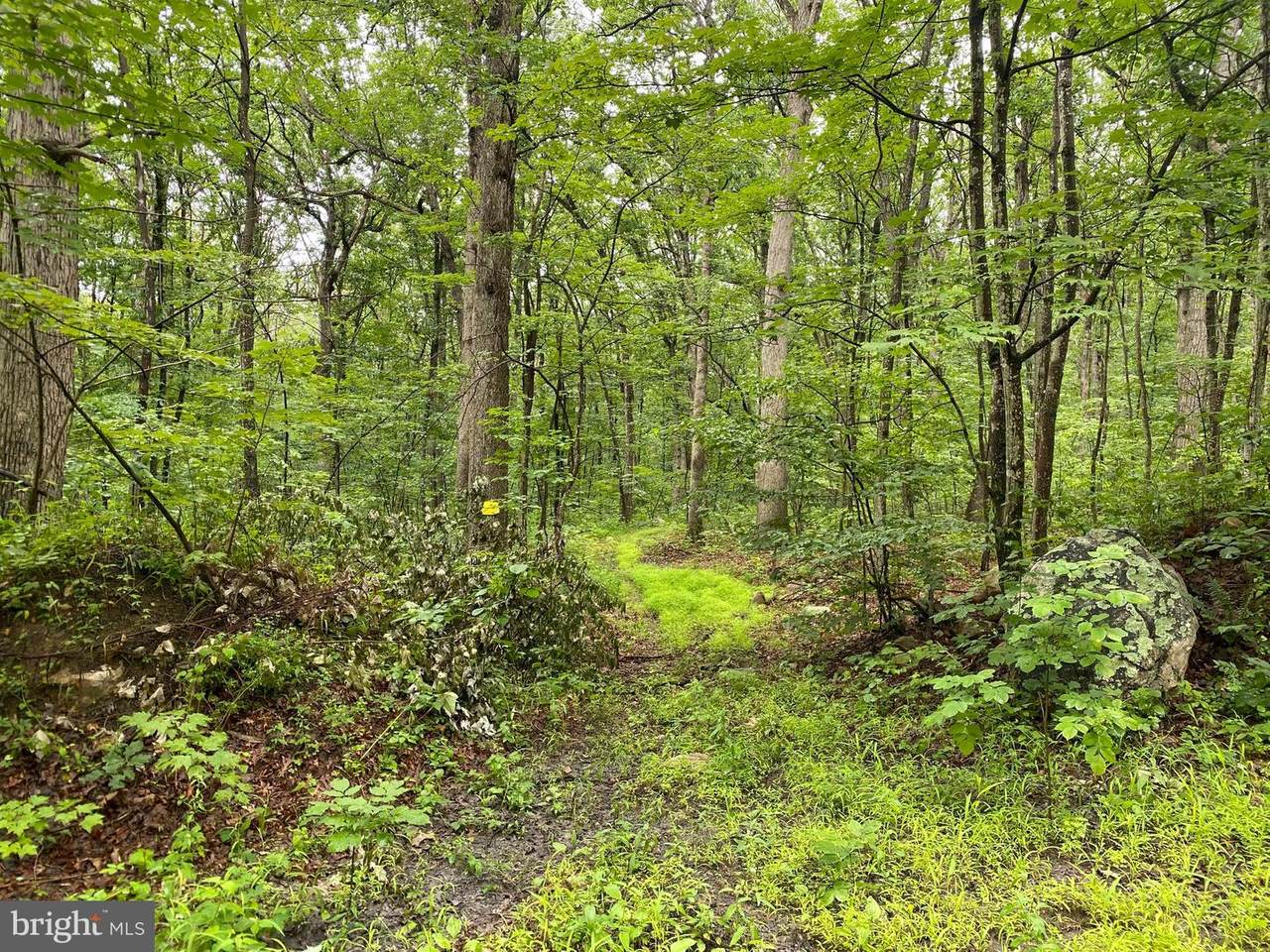 Lot 22 Mash Lane - Photo 1