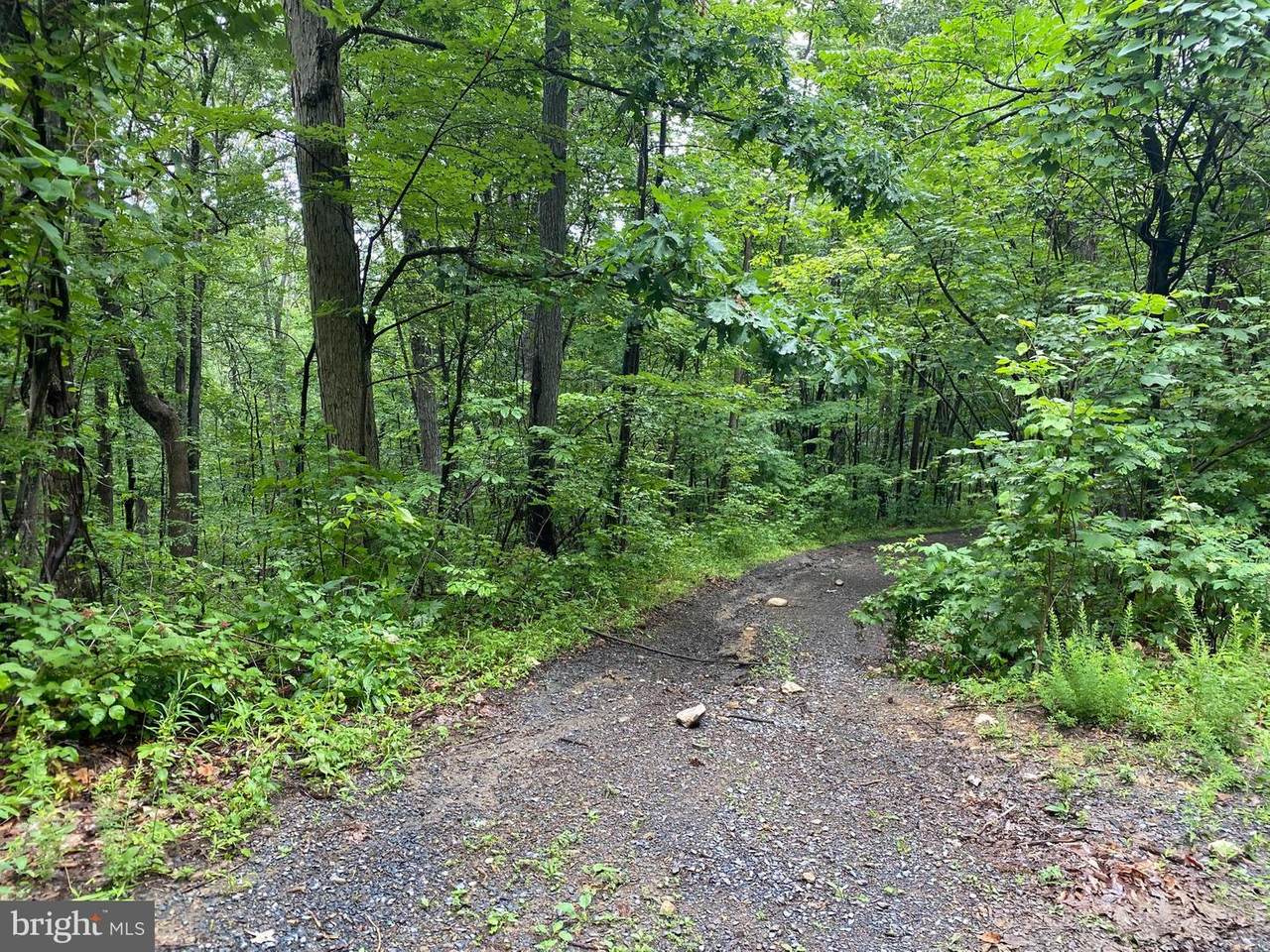 Lot 21 Mash Lane - Photo 1