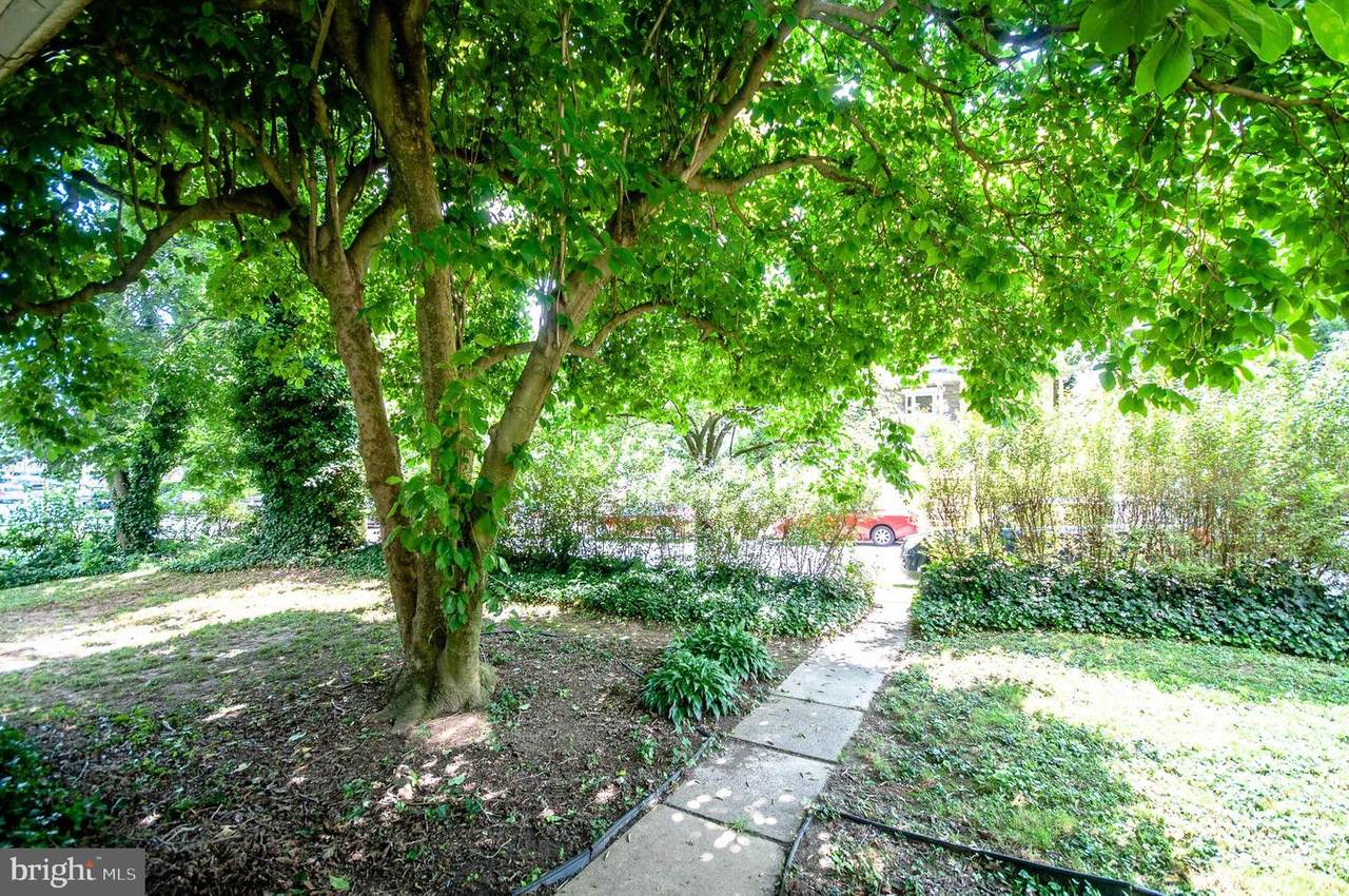 237 Clifton Avenue - Photo 1