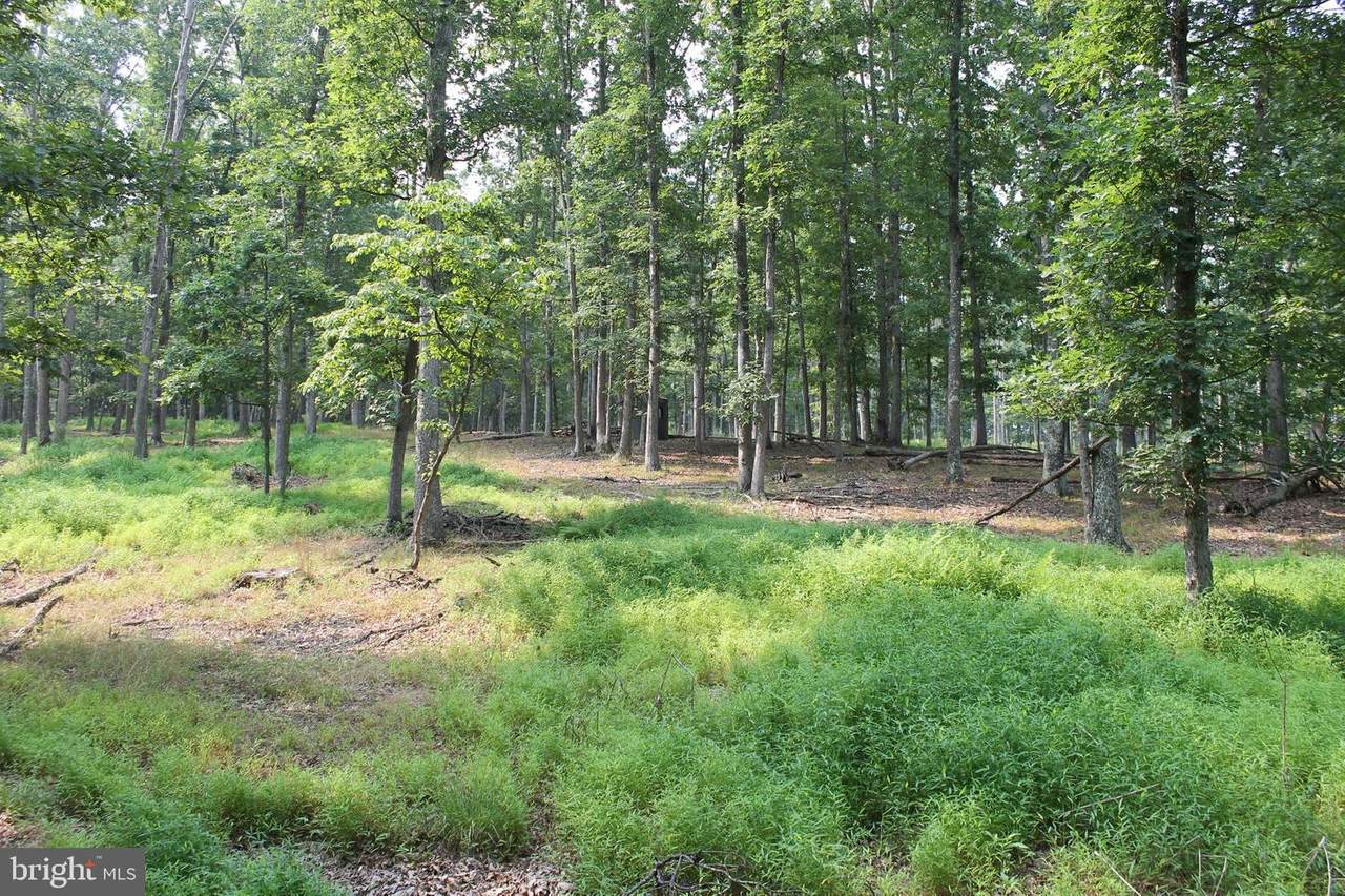 223 Packard Lane - Photo 1