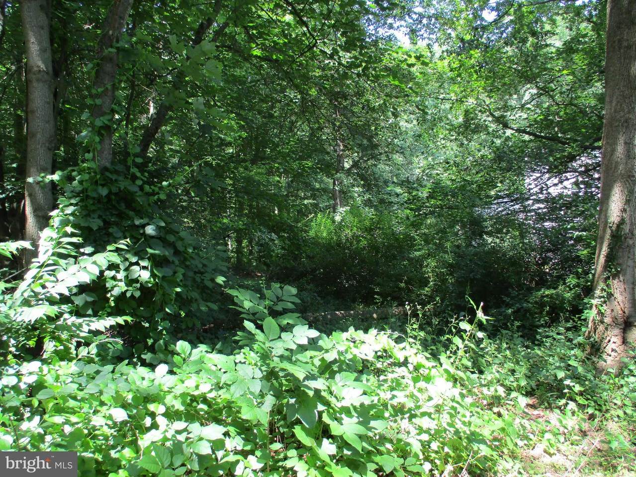 80 Schoolhouse Lane - Photo 1