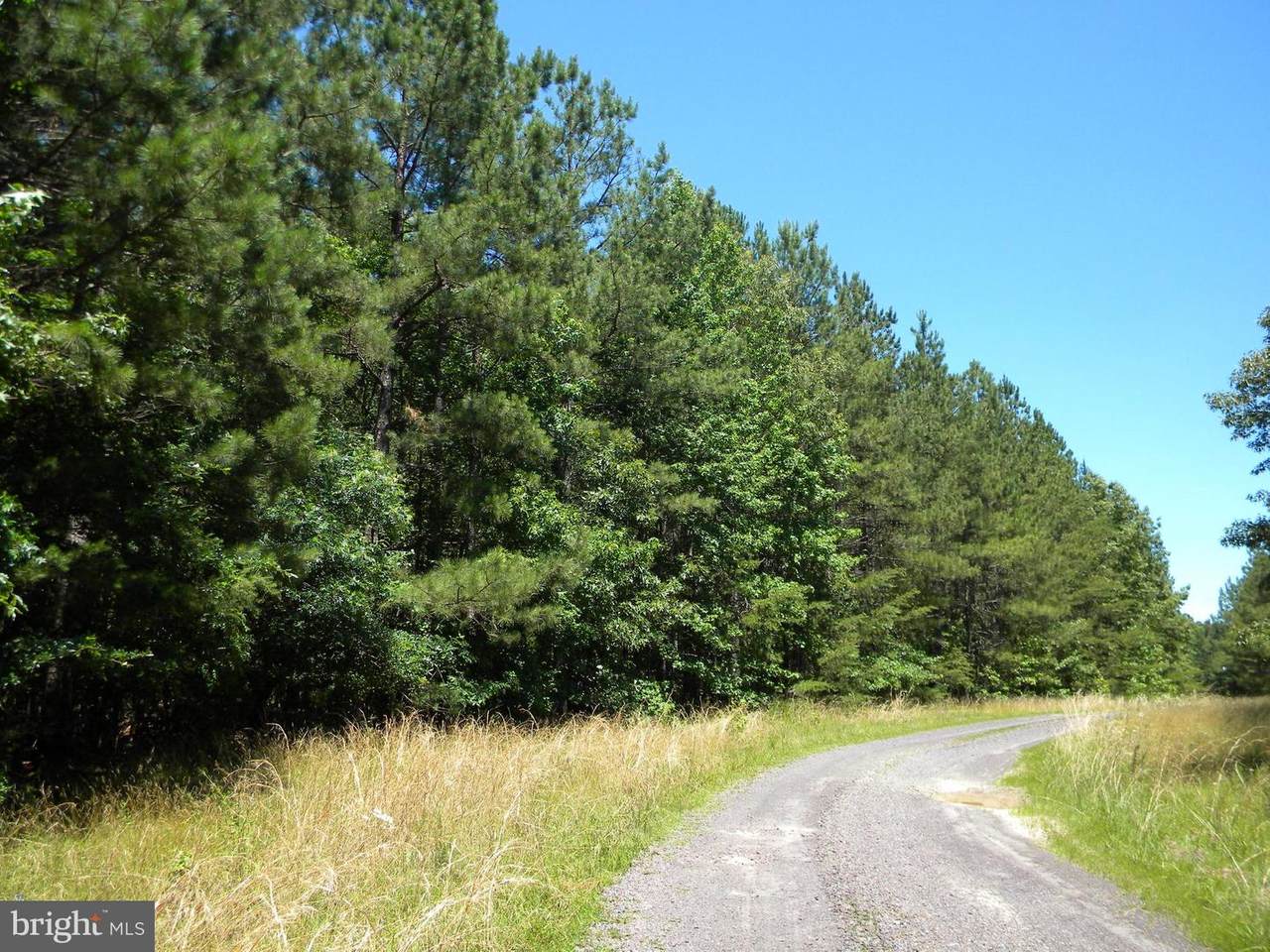 Prim Road - Photo 1