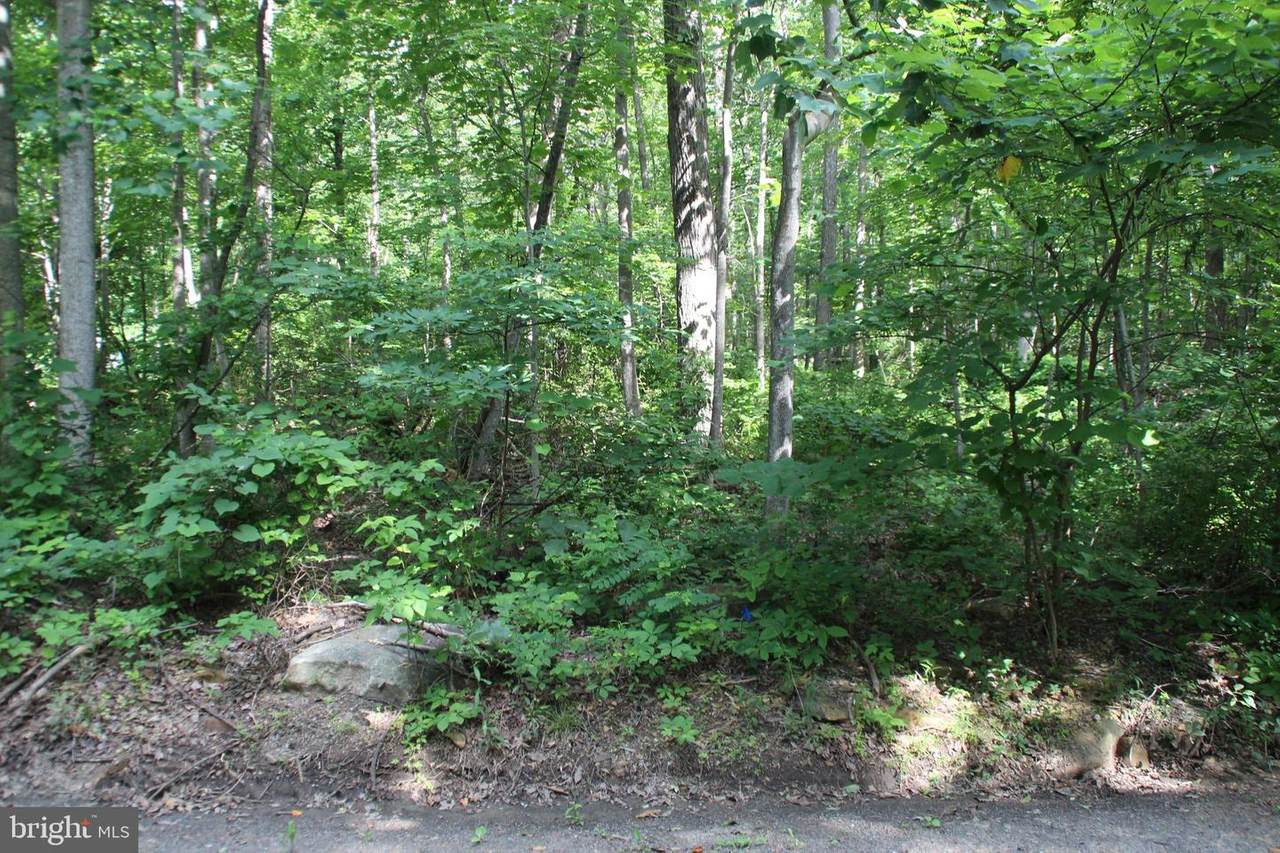 415 Raccoon Drive - Photo 1