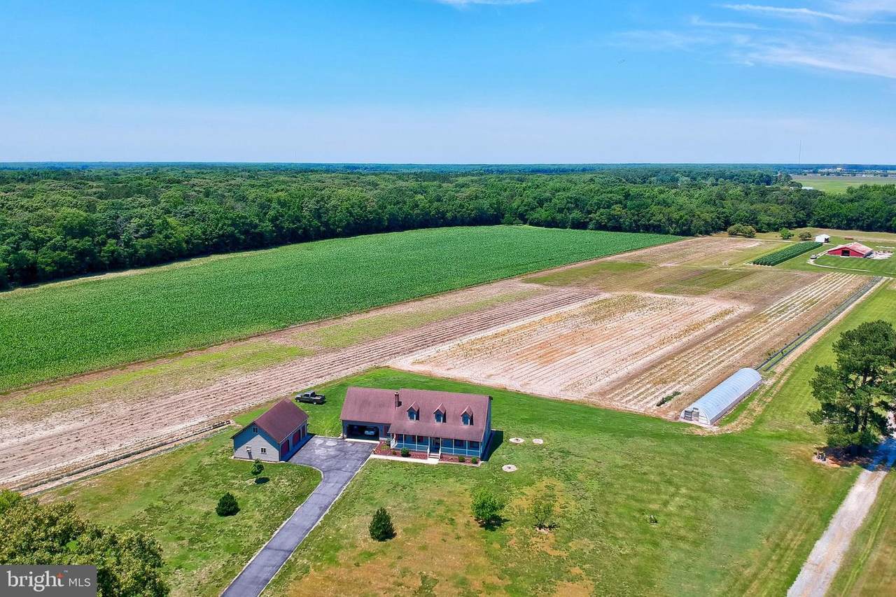 28490 Adkins Road - Photo 1