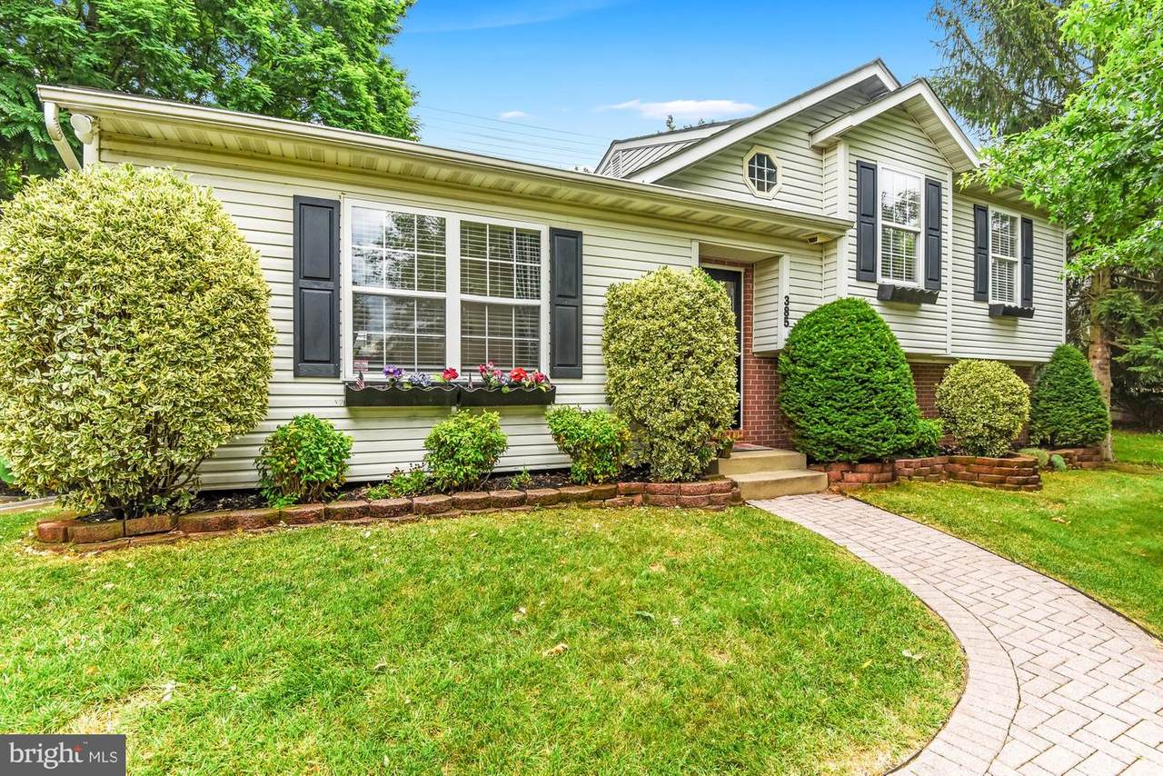 385 Buck Cash Drive - Photo 1