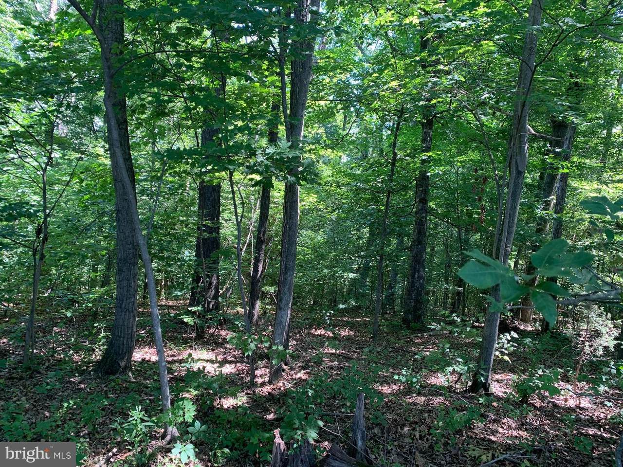 790 Lot 64 River View Rd - Photo 1