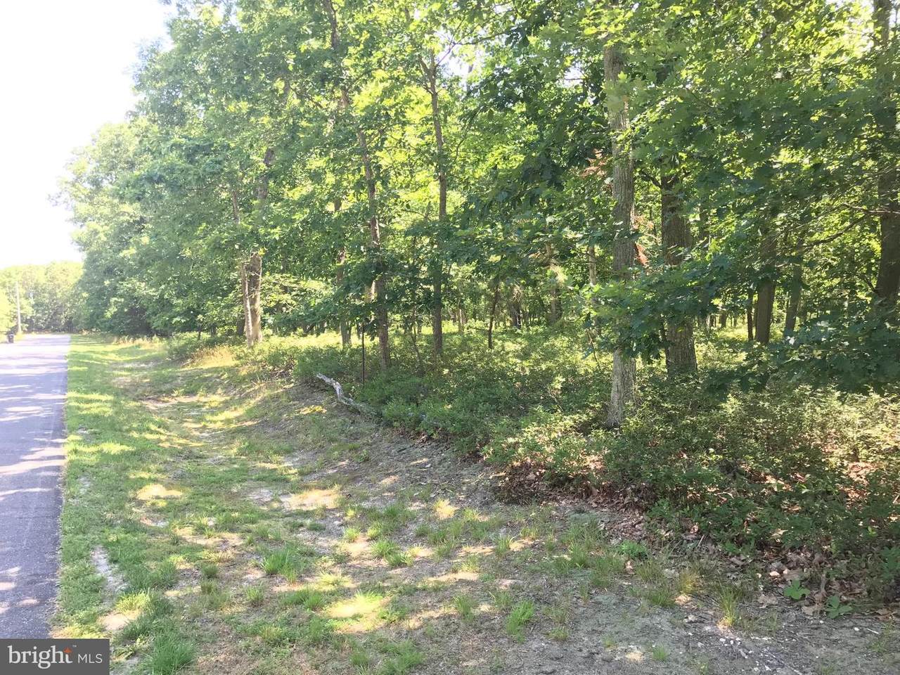 Maryland Avenue - Photo 1