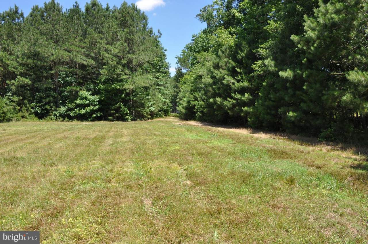 30575 Bryan Hall Road - Photo 1