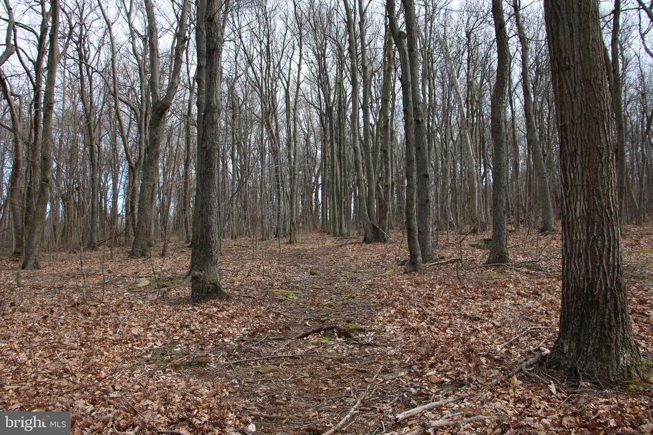 Lee Ridge Lane - Photo 1