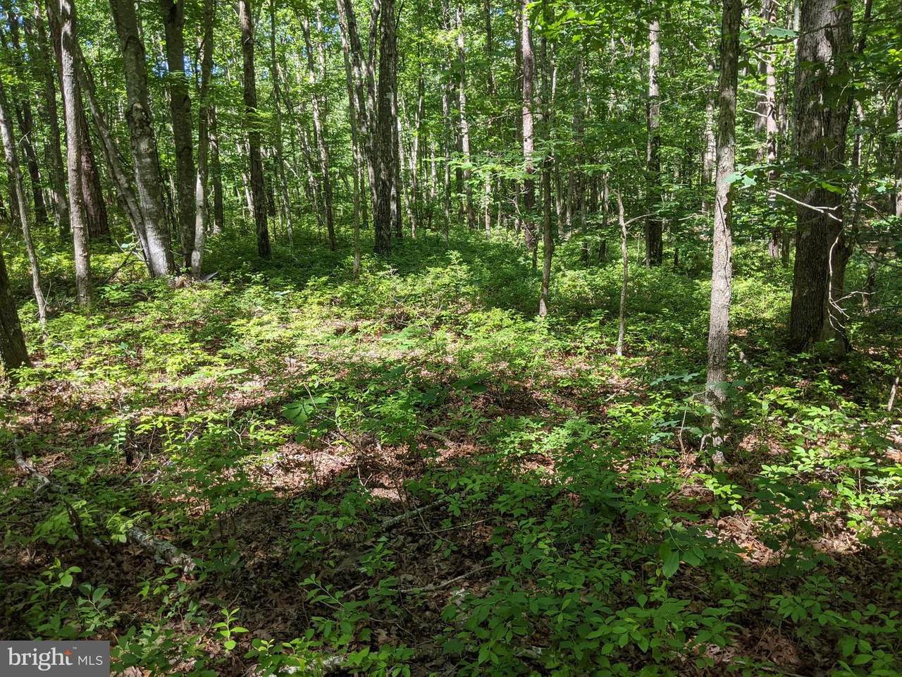 Lot C Bunny Trail - Photo 1