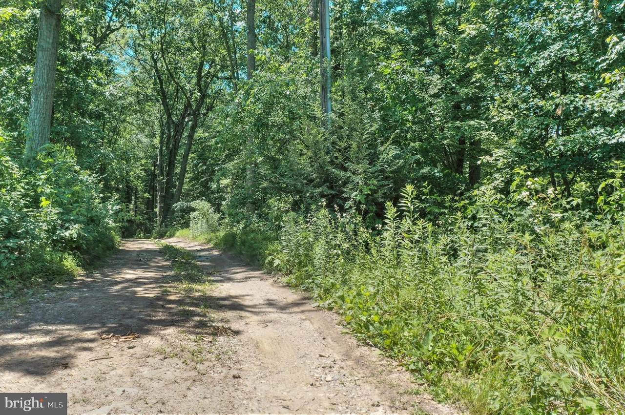 0 Forest Ridge Road - Photo 1