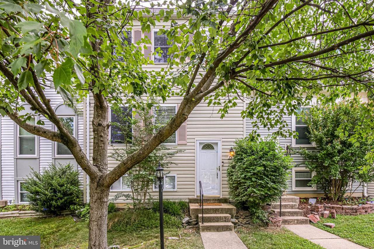 7357 Springleigh Way - Photo 1