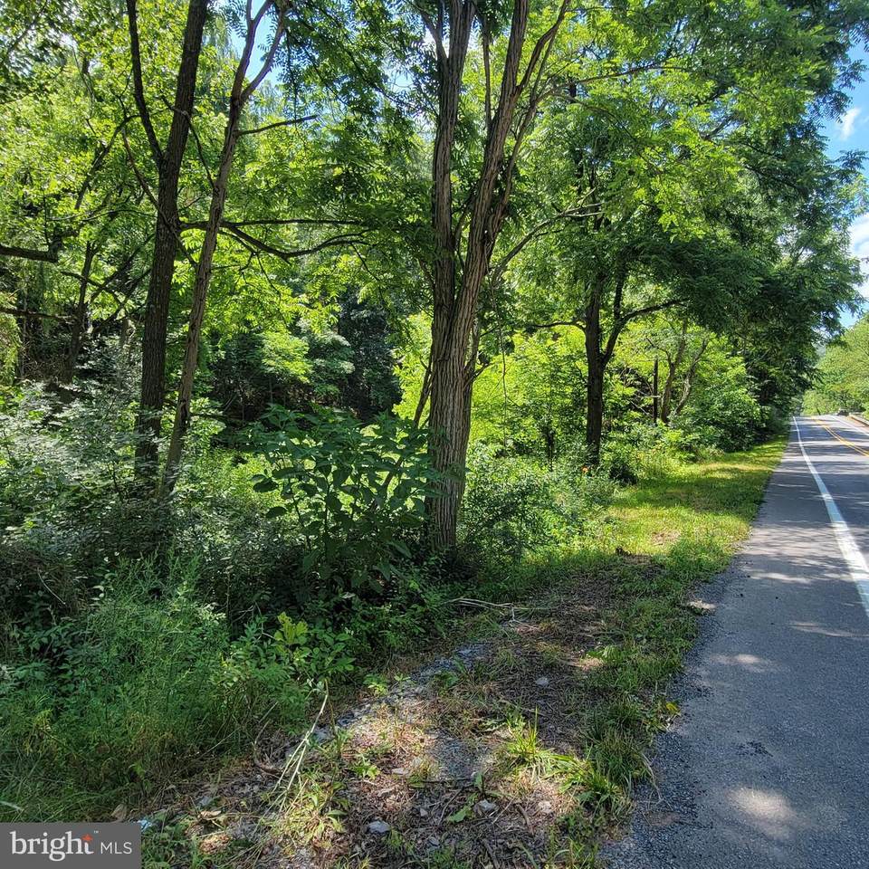 Paw Paw Road - Photo 1