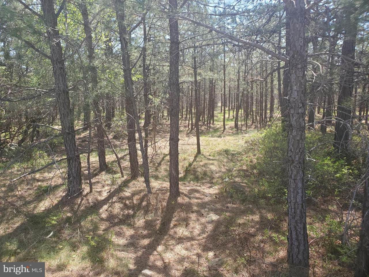 Lot 356 Ns Country Club Road - Photo 1