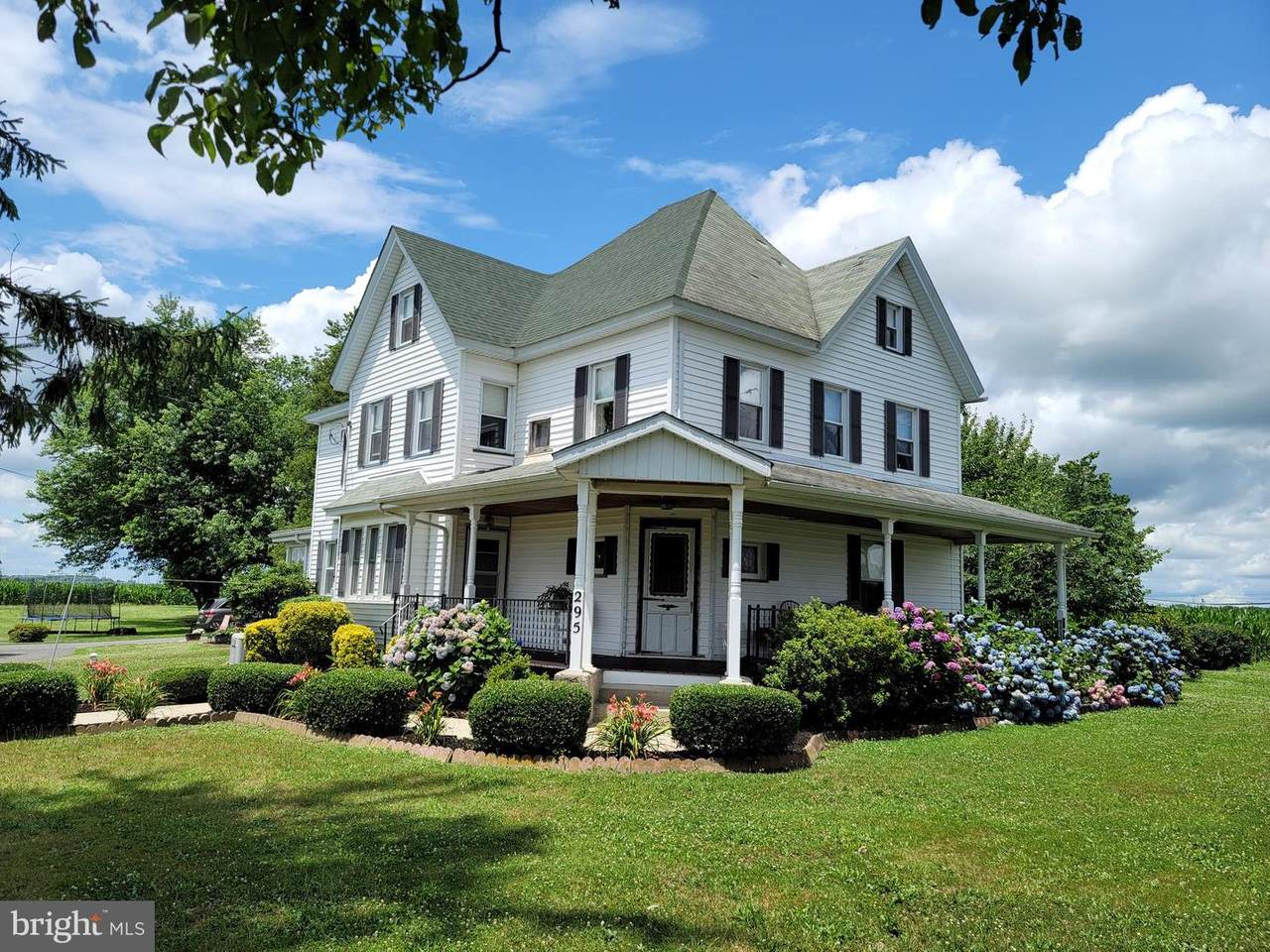 295 Jefferson Road - Photo 1