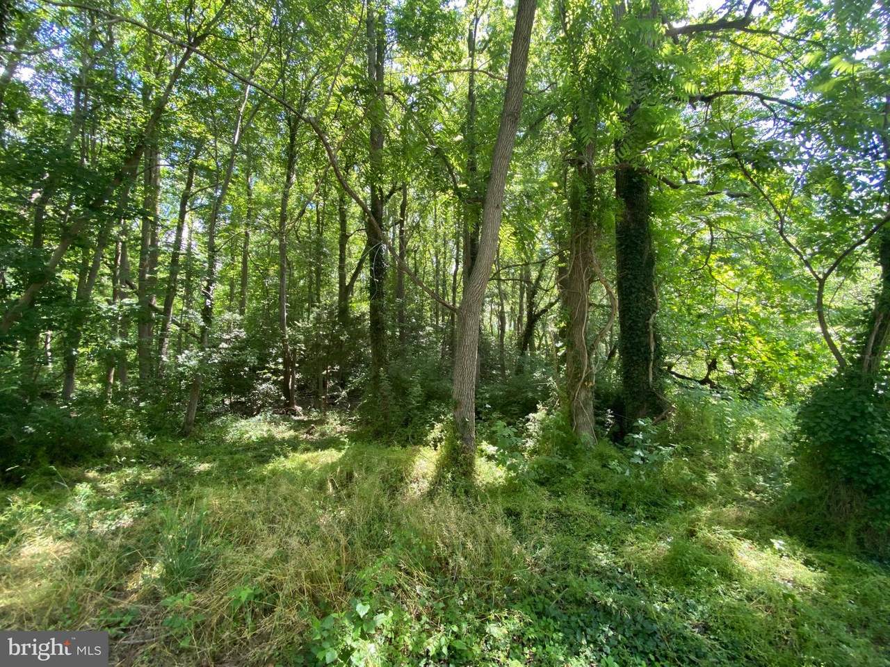 307 Willow Street - Photo 1