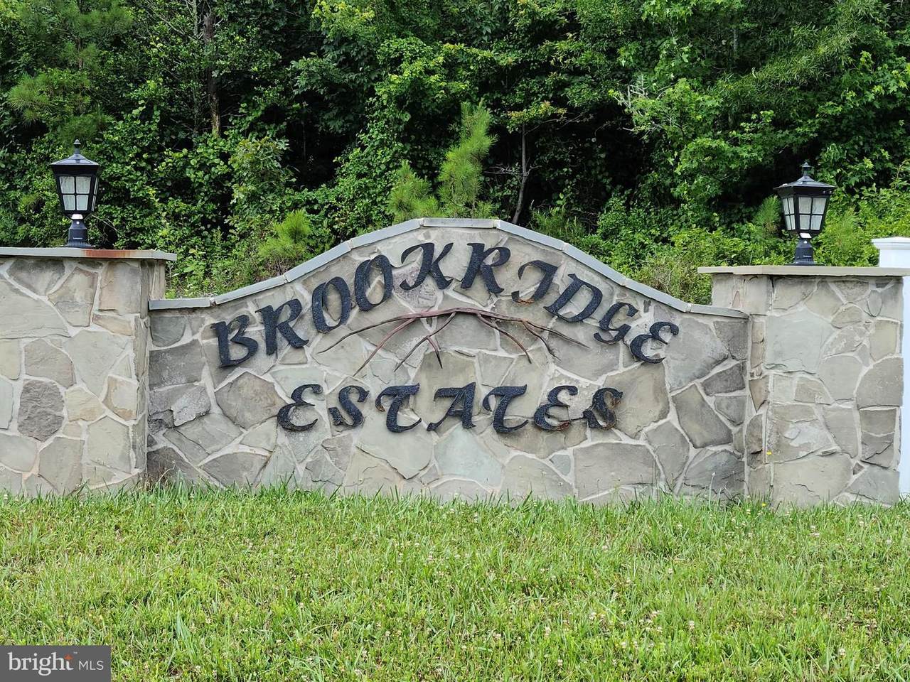 13221 Brooke Ridge Lane - Photo 1
