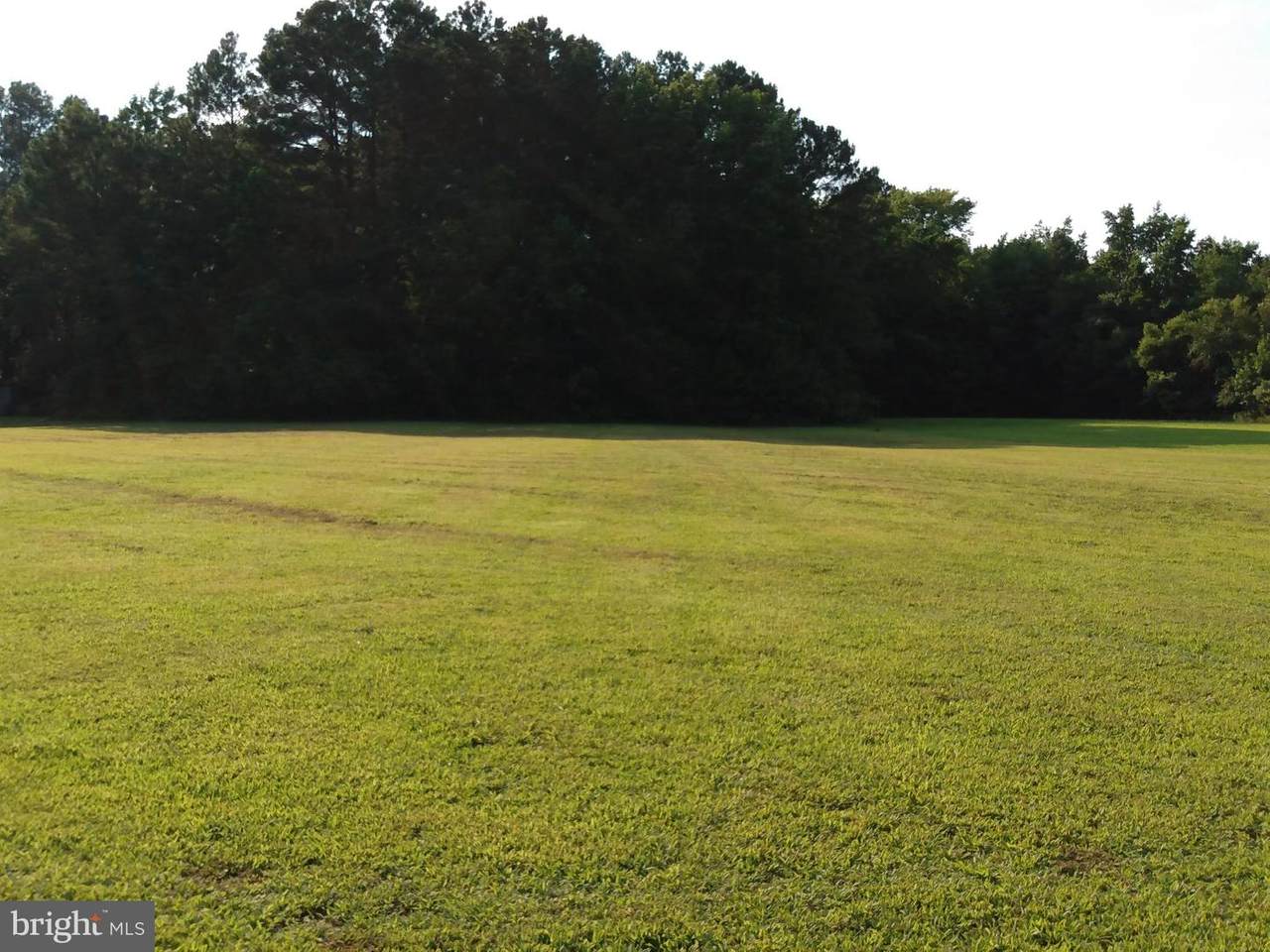 0 Hickman Lane - Photo 1
