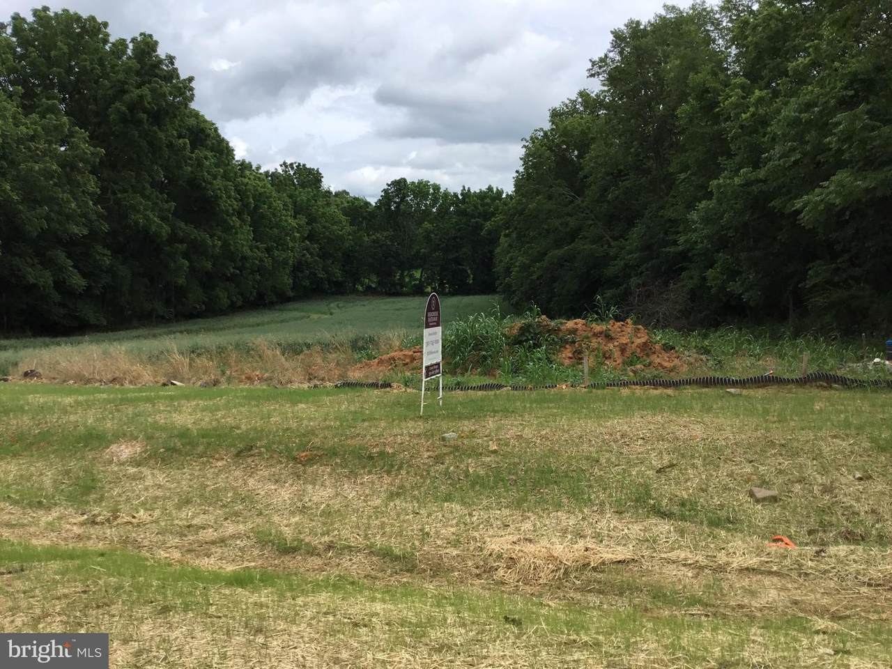 21110 Winchester Drive - Photo 1