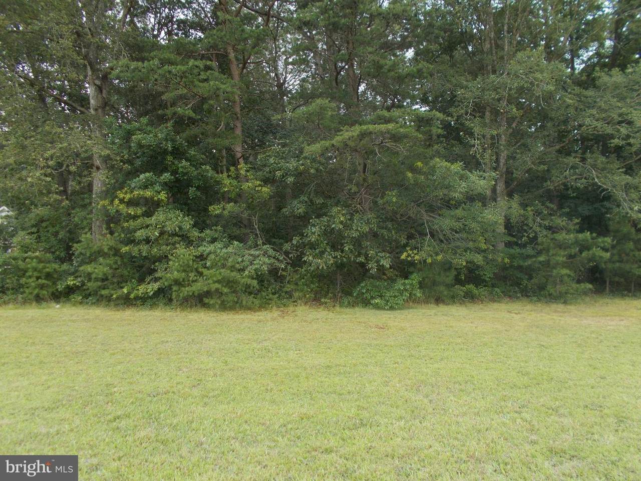 4307 Osborne Road - Photo 1