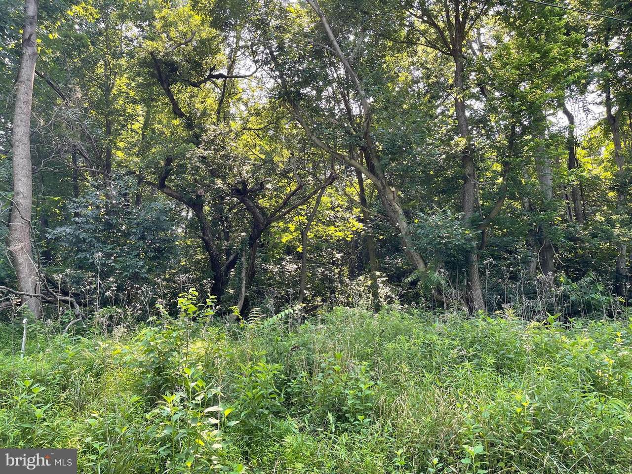 American Drive - Photo 1
