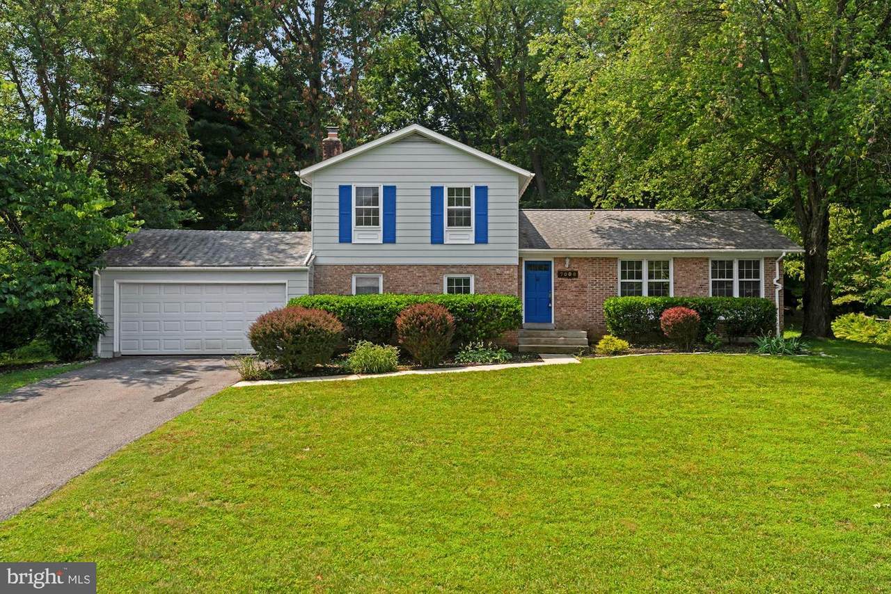 7008 Wick Lane - Photo 1