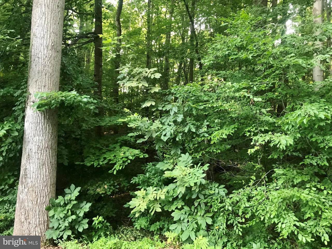 5332 Christiana Parran Road - Photo 1