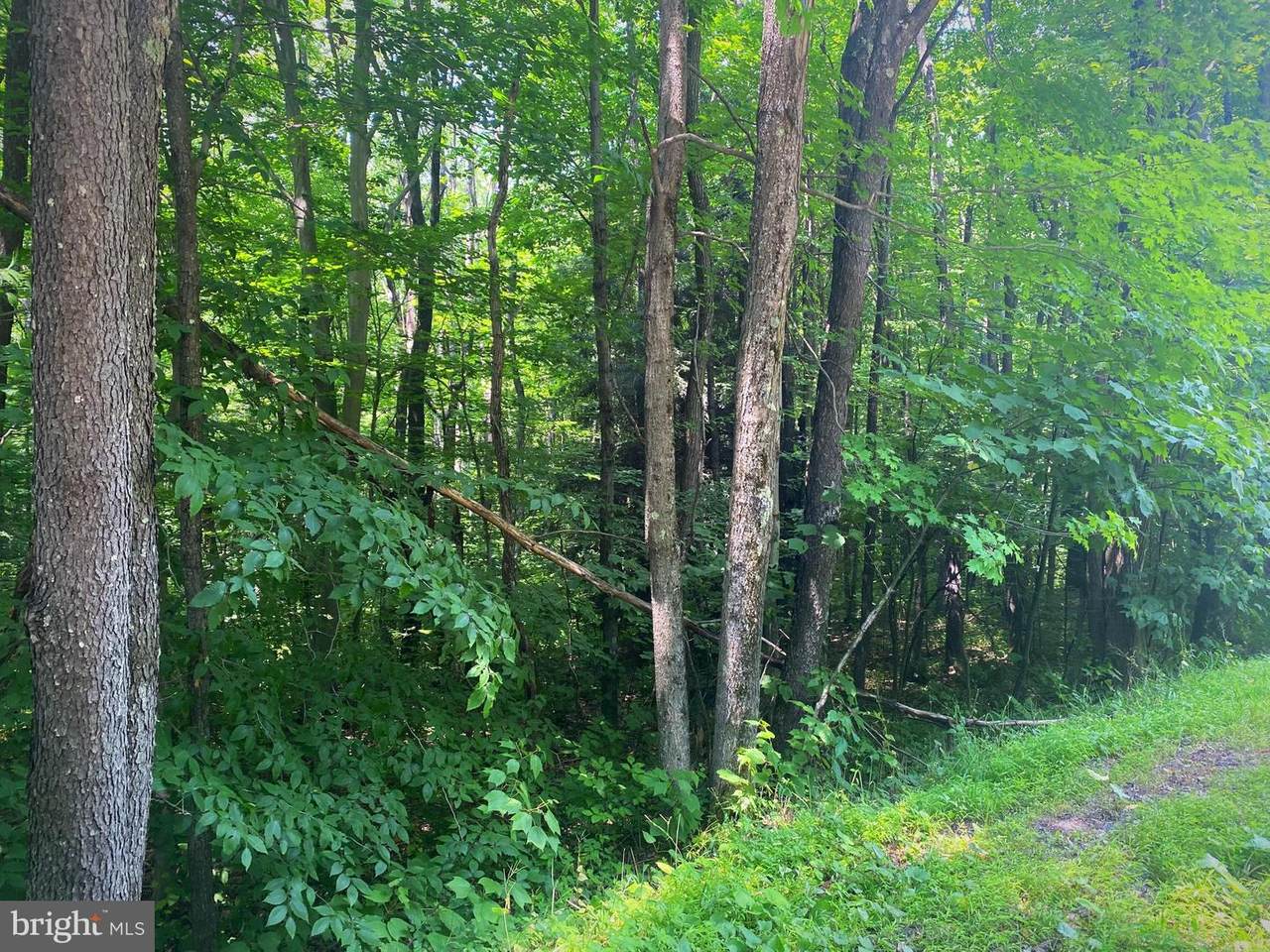 Frostburg Road - Photo 1