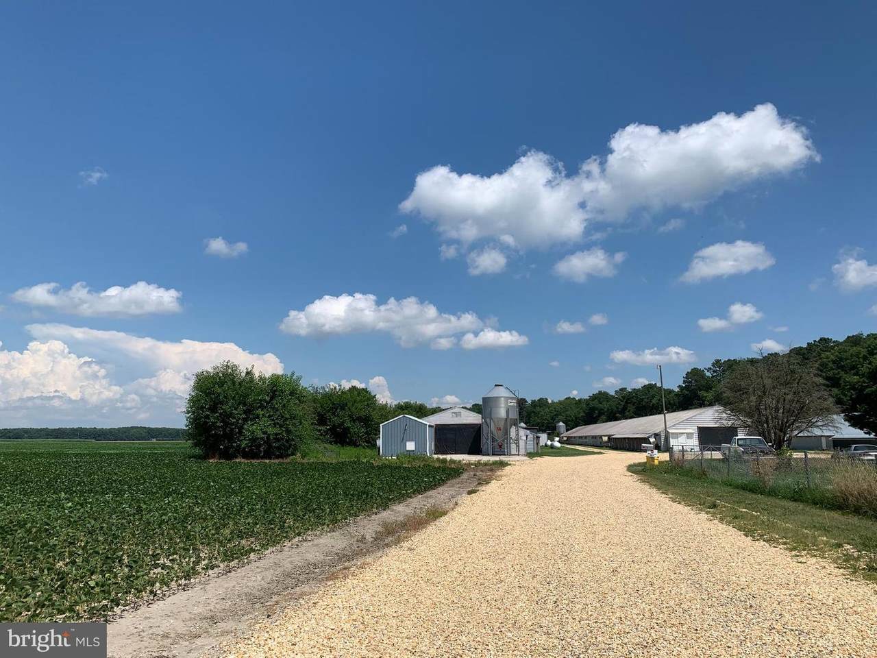 6425 Eldorado Road - Photo 1
