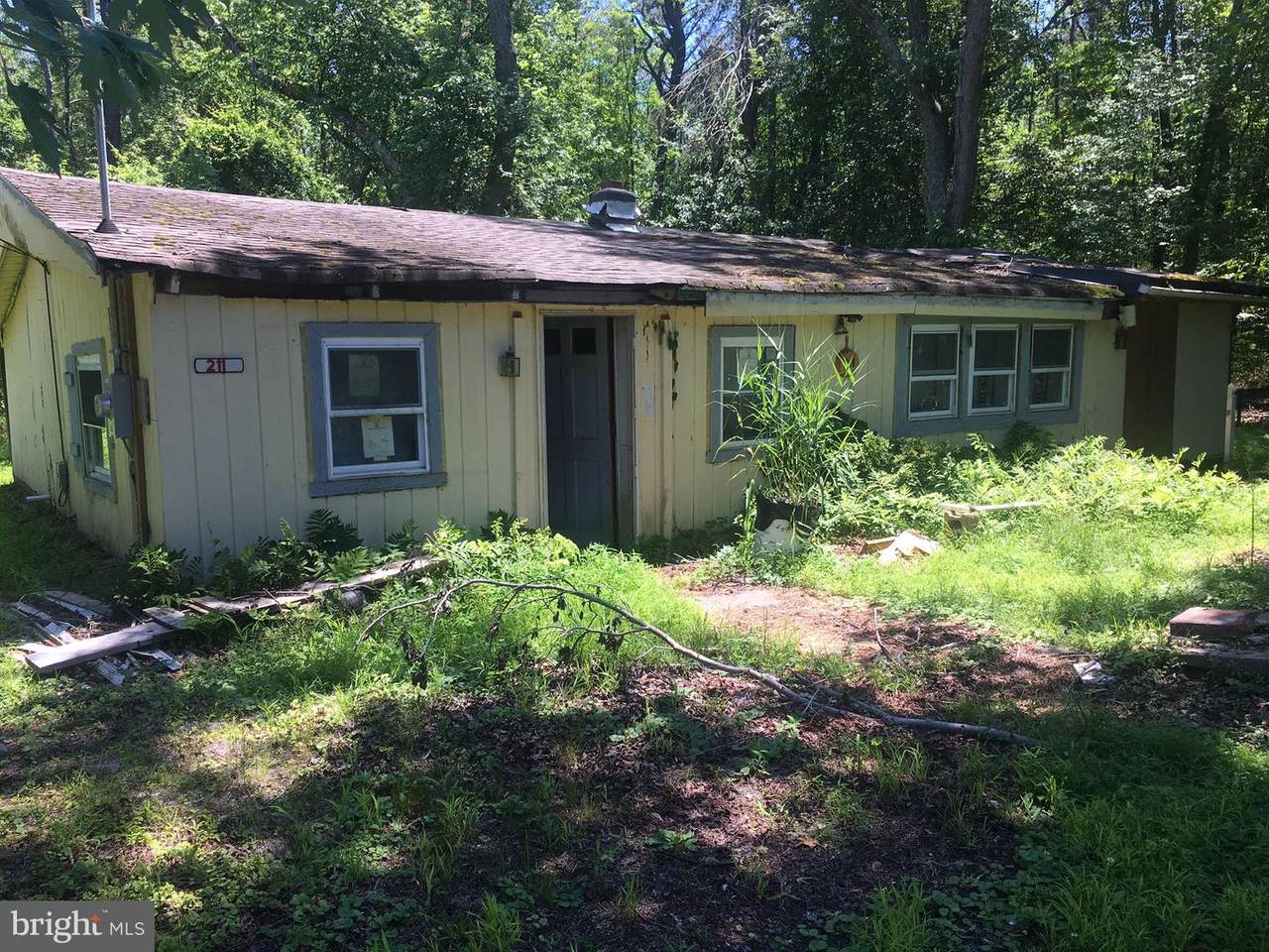 211 Palm Avenue - Photo 1