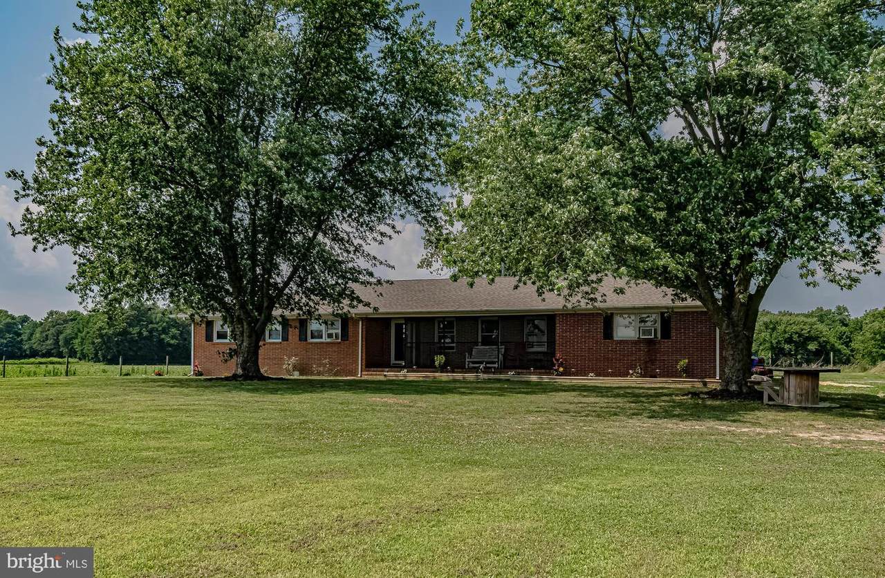 329 Gallo Road - Photo 1