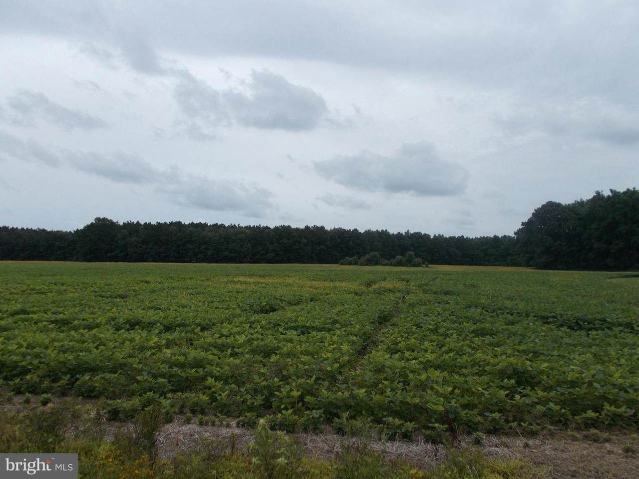 Hawkeye Road - Photo 1