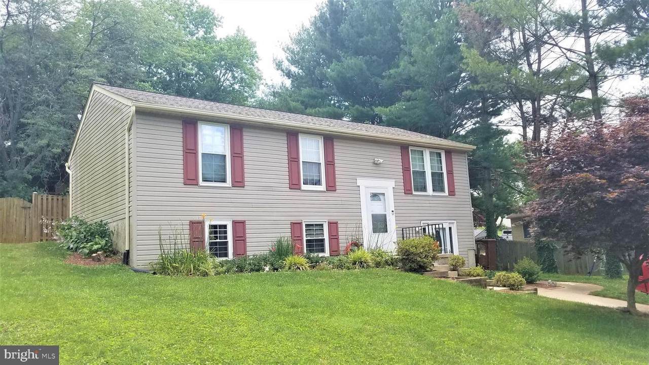 1119 Tall Pines Drive - Photo 1