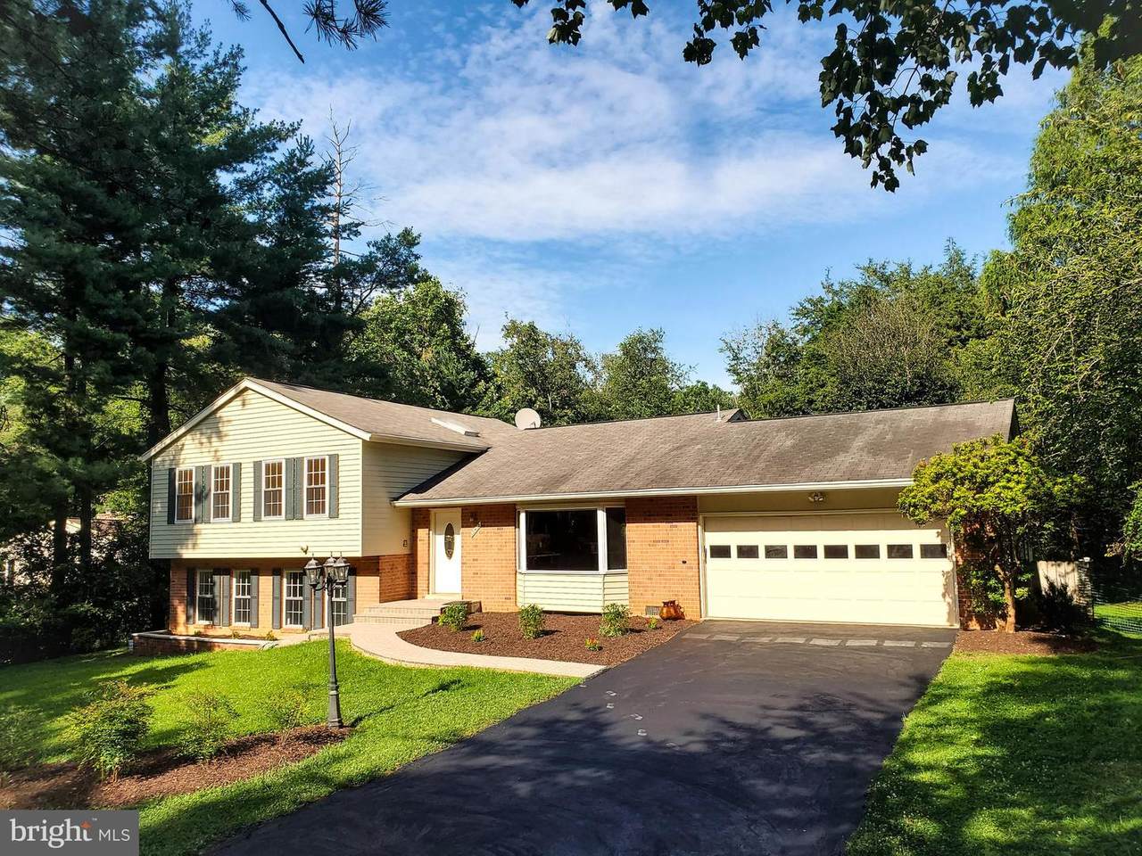 10412 Artemel Lane - Photo 1