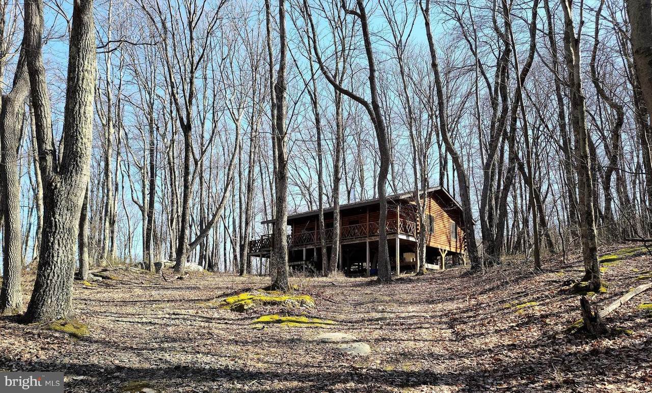 Brushy Fork Road - Photo 1