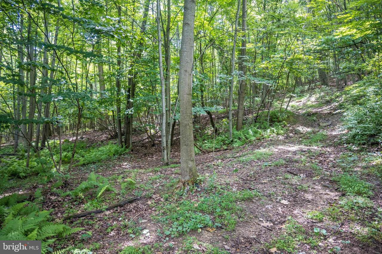 Pennersville Road - Photo 1